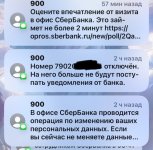 IMG_6625.jpeg