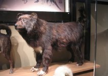 IMG_20250905_181403.jpg