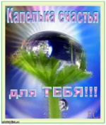1758053377402.png
