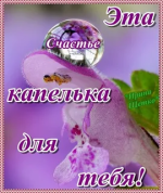 1758053442280.png