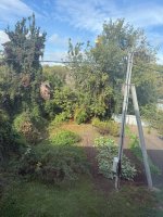 IMG_3309.jpeg