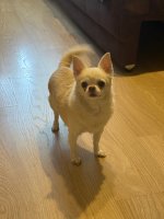 IMG_3310.jpeg