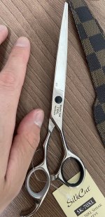 IMG_7331.jpeg
