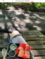 IMG_7711.jpeg