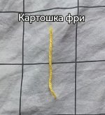 IMG_6484.jpeg