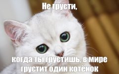 f6a0a29f7a5901558b9f447a1492cbb7.jpg