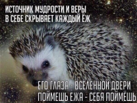 1760981884542.png