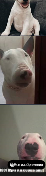 1761222536543.png