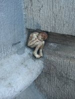 IMG_20251029_162752.jpg
