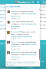 Снимок экрана 2025-10-30 125236.png