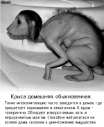 1000021970.png
