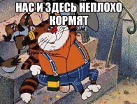 кот.jpg