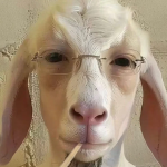 1764087178995.png