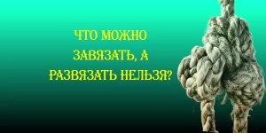1764120815500.jpeg