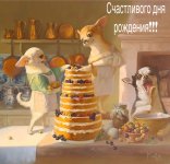 IMG_7457.jpeg