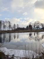 IMG_8141.jpeg