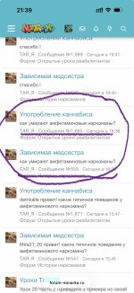 IMG_8165.jpeg