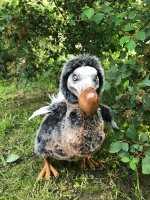 71013-dodo-21.jpg