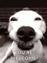 HappyBirthdayAshleighGIF.gif