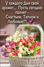 IMG_3132.png