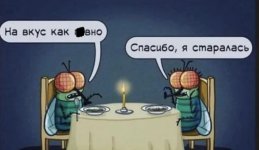 IMG_8082.jpeg