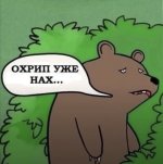 IMG_9267.jpeg