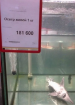 1775231023601.png