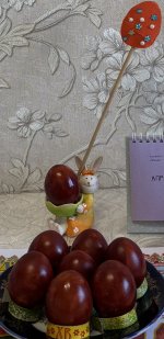 IMG_5378.jpeg