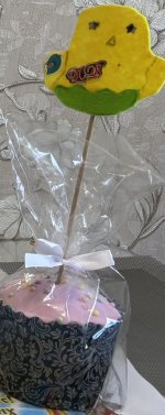 IMG_5372.jpeg