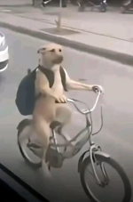 1776195052386.png