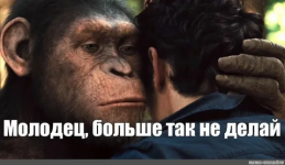 Молодец, больше так не делай..png