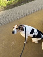IMG_1013.jpeg