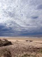 IMG_0785.jpeg