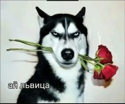 IMG_2507.jpeg
