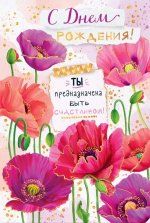 IMG_2797.jpeg IMG_2797.jpeg