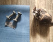 Мася спортсменка.jpg