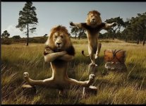 Снимок экрана_8-6-2026_171246_yandex.ru.jpeg