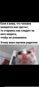 Screenshot_2026-06-09-23-48-49-811_com.vkontakte.android.jpg Screenshot_2026-06-09-23-48-49-811_com.vkontakte.android.jpg