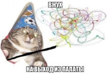 39782.jpg