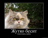 Взять_и_уебать.jpg