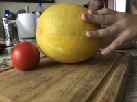 2487452F-50C0-4706-9773-3D6B793D2A24.jpeg