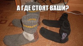 нос.jpg