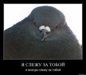 9926CD0B-B3B6-4AE3-8741-3BF944E770F1.jpeg