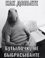 FFFA22F6-DB52-40FD-AFF7-04B5F9B61862.jpeg