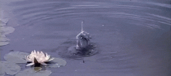 1283.gif