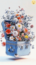 6E8EBF04-6C3B-4FD3-8FEB-7985A1A94C94.gif
