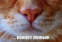 45443.jpg 45443.jpg