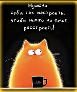 IMG_20260904_234612.jpg