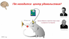 1789327235553.png