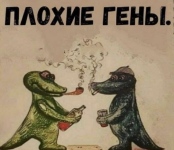 1790512599918.png 1790512599918.png